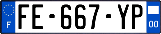 FE-667-YP
