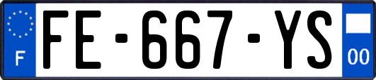 FE-667-YS