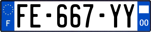 FE-667-YY