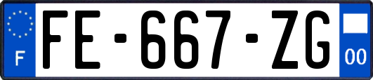 FE-667-ZG