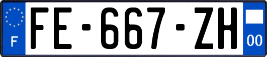 FE-667-ZH