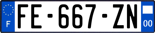 FE-667-ZN