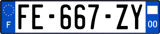 FE-667-ZY