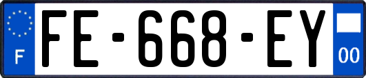FE-668-EY