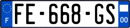 FE-668-GS