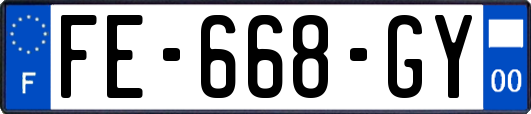 FE-668-GY