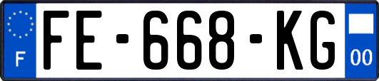 FE-668-KG