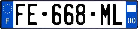 FE-668-ML