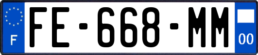 FE-668-MM