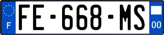 FE-668-MS