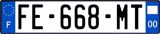 FE-668-MT