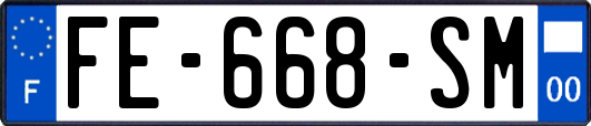 FE-668-SM