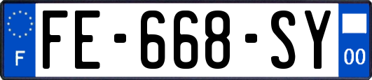 FE-668-SY