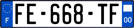 FE-668-TF