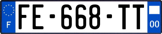 FE-668-TT