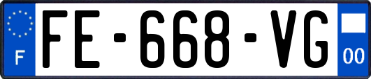 FE-668-VG