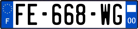 FE-668-WG