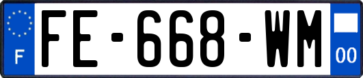 FE-668-WM