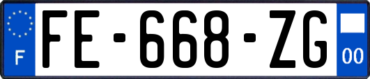 FE-668-ZG