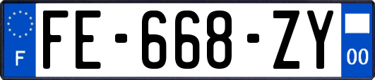 FE-668-ZY