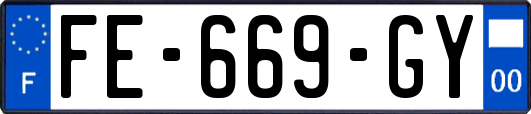 FE-669-GY