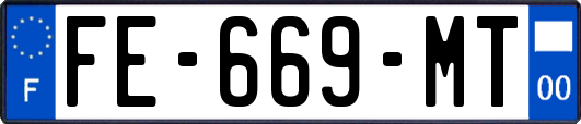 FE-669-MT
