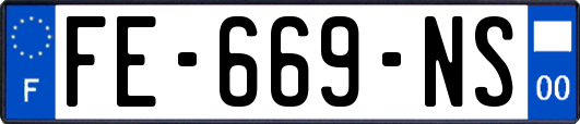 FE-669-NS