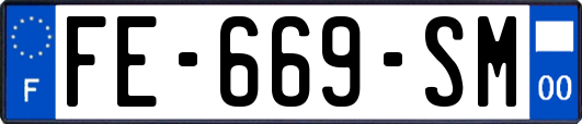 FE-669-SM