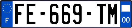 FE-669-TM