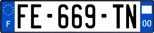 FE-669-TN