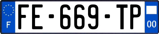 FE-669-TP