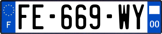 FE-669-WY