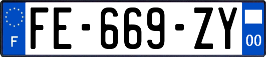 FE-669-ZY