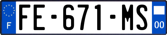 FE-671-MS