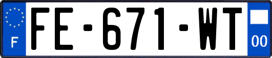 FE-671-WT