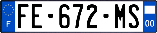 FE-672-MS