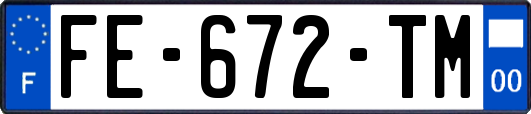 FE-672-TM
