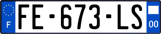 FE-673-LS