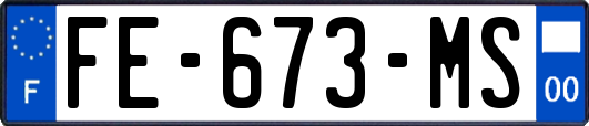 FE-673-MS