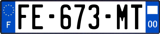 FE-673-MT