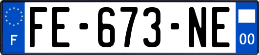 FE-673-NE