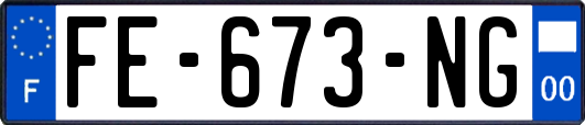 FE-673-NG
