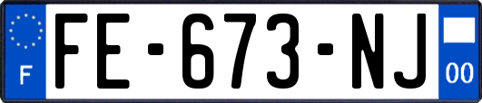 FE-673-NJ