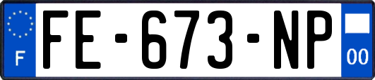 FE-673-NP