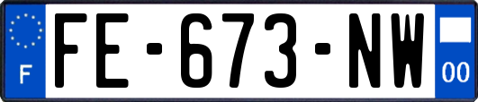 FE-673-NW