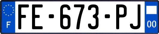 FE-673-PJ