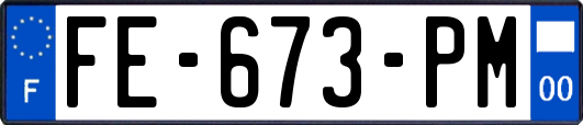 FE-673-PM