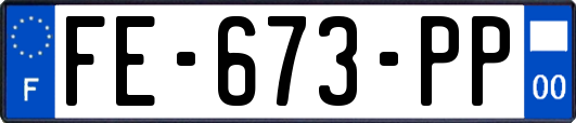 FE-673-PP