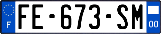 FE-673-SM
