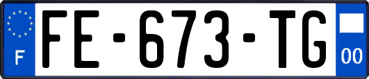 FE-673-TG